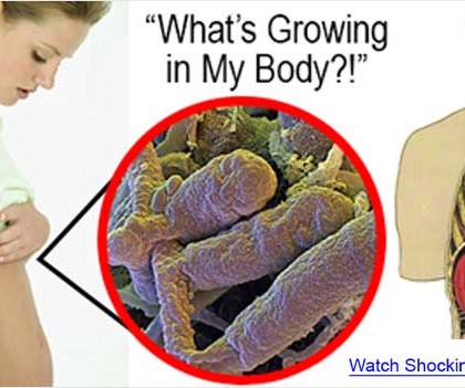 Probiotic america coupon code