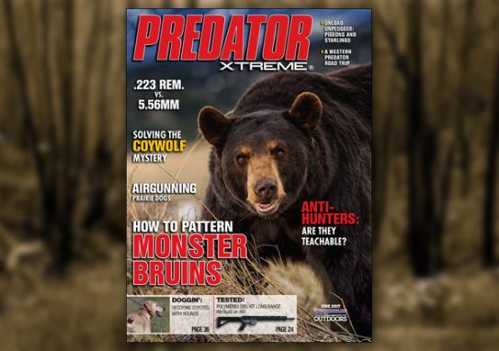 FREE Predator Xtreme Magazine Subscription