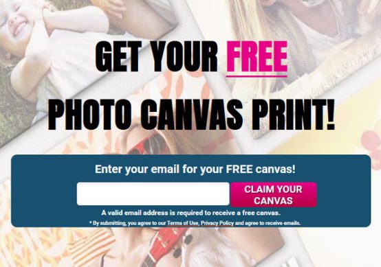 Free Canvas Print