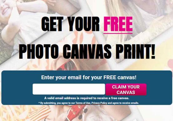 Free Canvas Print