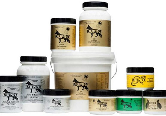 Natural Dog Supplements