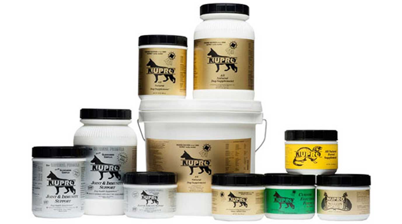 Natural Dog Supplements