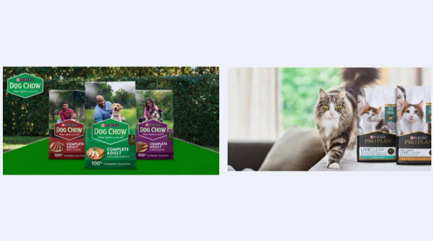 Purina Muse Masterpieces Natural Dry Cat Food