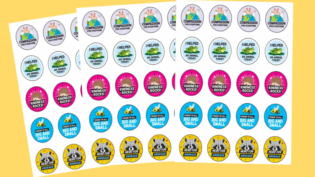 Peta TeachKind Stickers