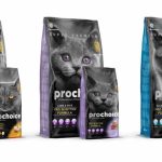 Free Cat Food Sample