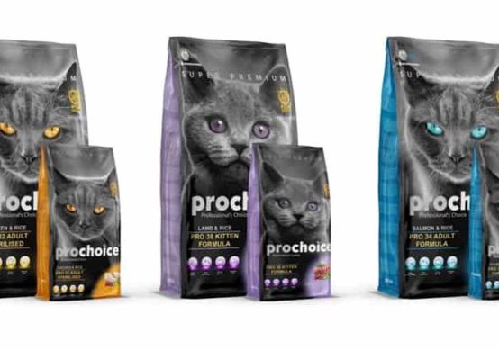 Free Cat Food Sample