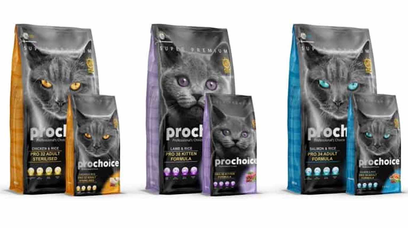 Free Cat Food Sample