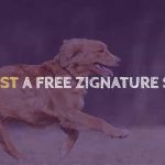 Free Zignature Dog Food Sample