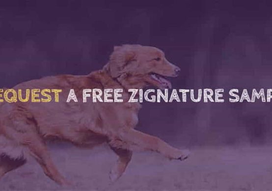 Free Zignature Dog Food Sample