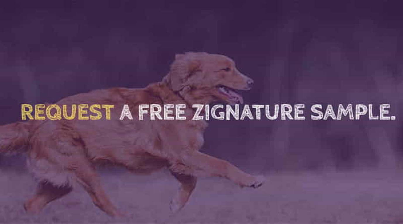 Free Zignature Dog Food Sample