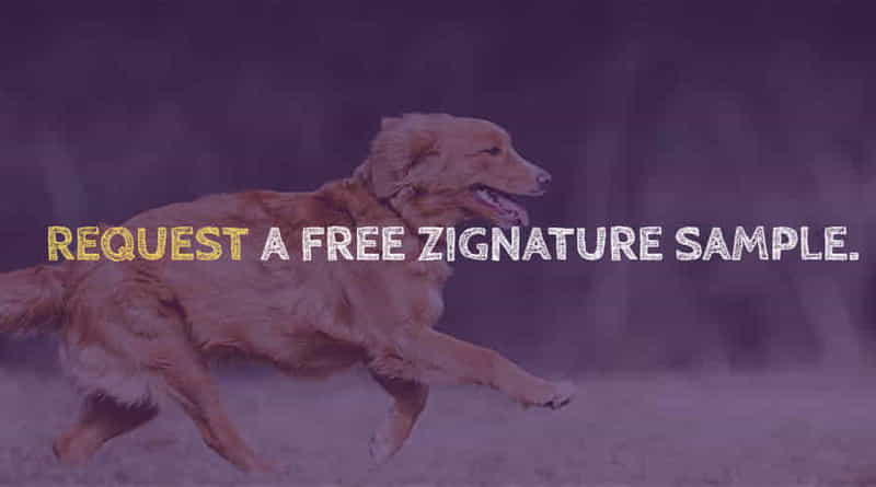 Zignature Dog Food Sample