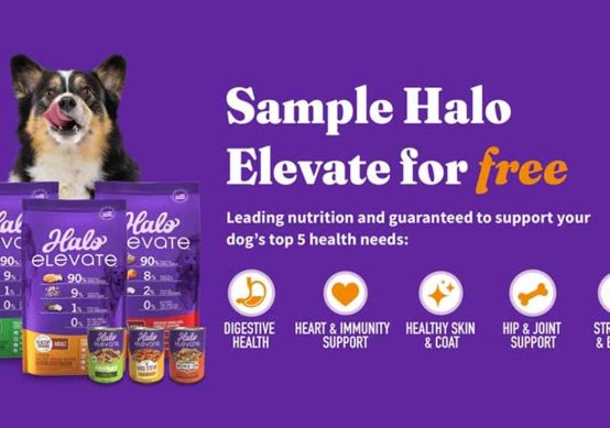 Halo Elevate Dog Food