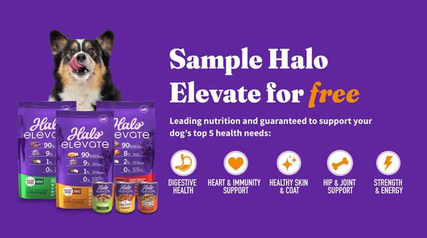 Halo Elevate Dog Food Halo Elevate Dog Food
