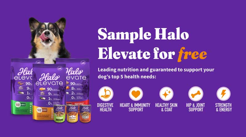 Halo Elevate Dog Food