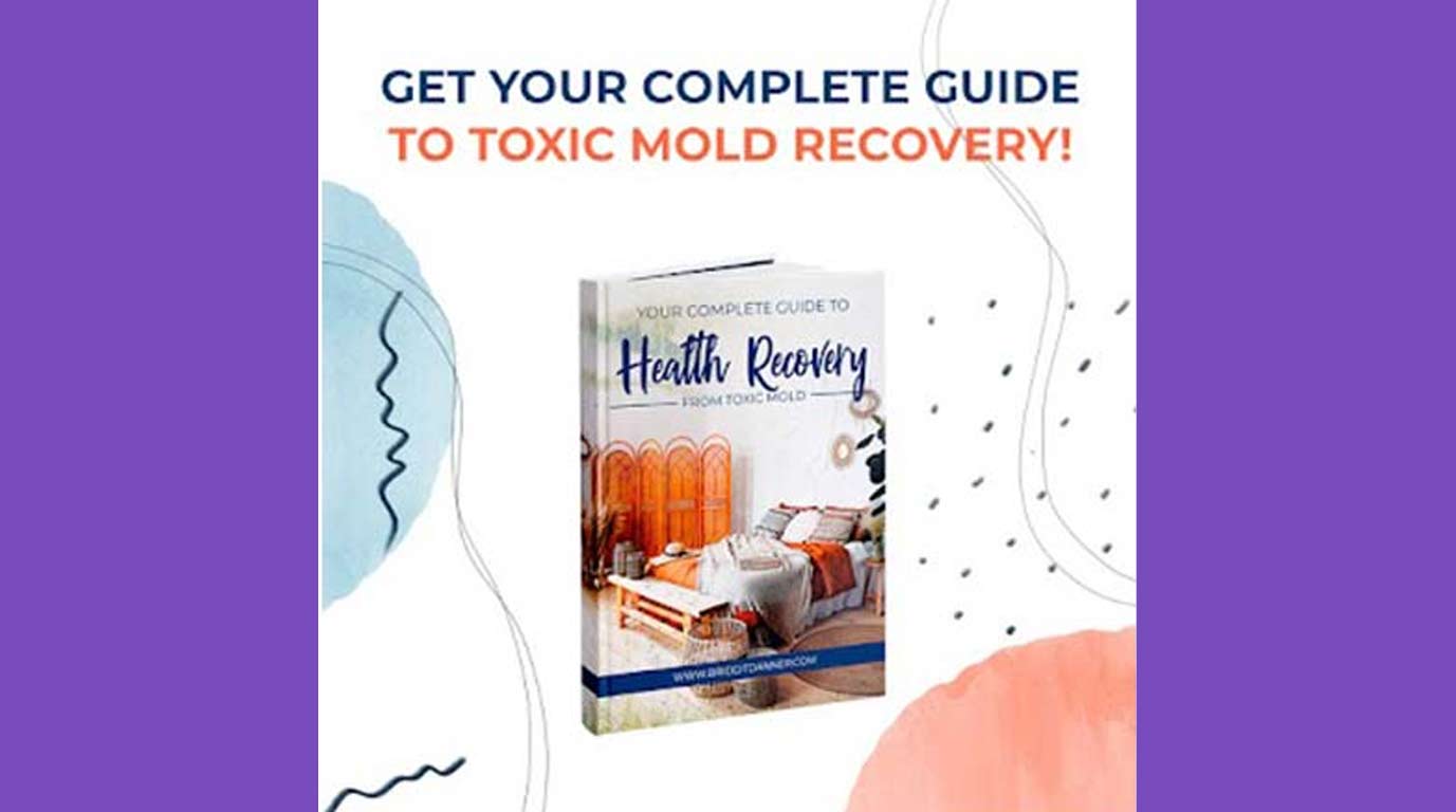 Mold Removal Mold Removal