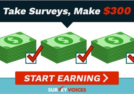 Survey-Voices