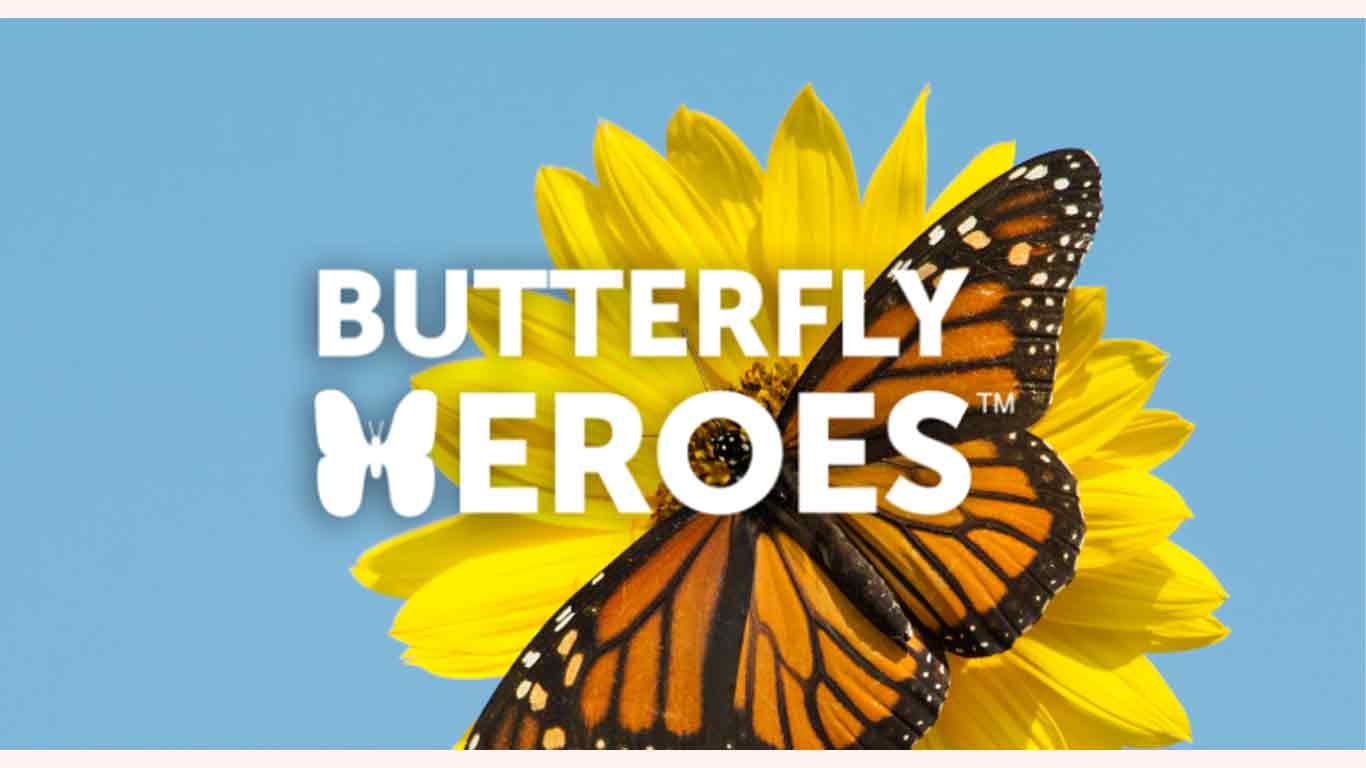 Butterfly Heroes Kit