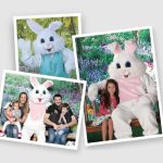 free-easter-photo