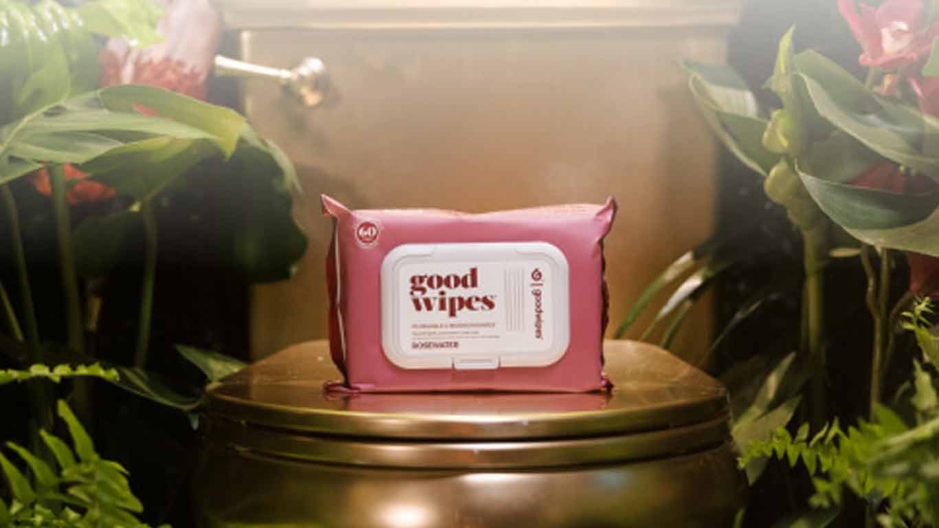 goodwipes GoodWipes