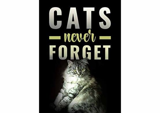 cats-mysteries-short-story