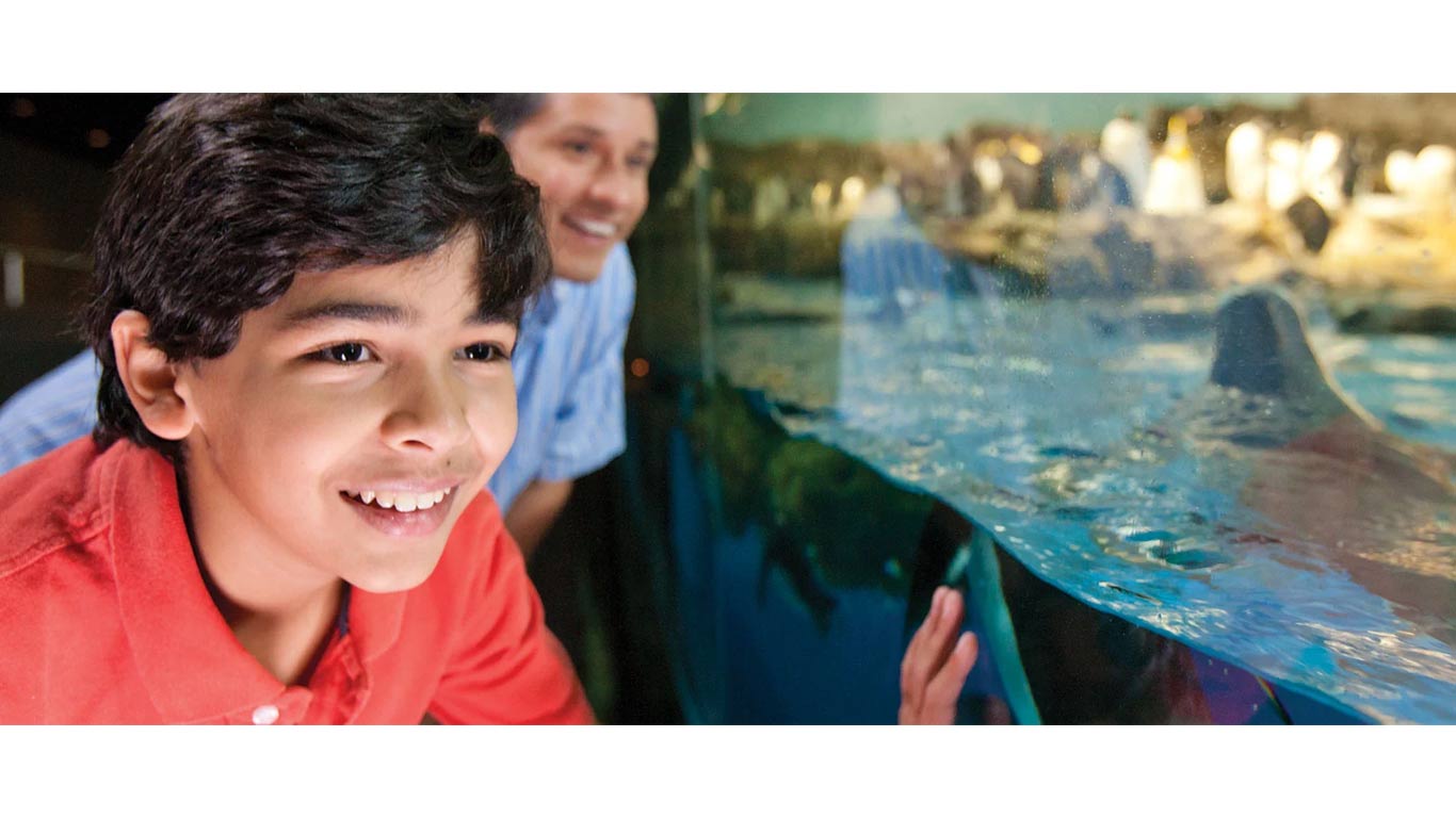 Seaworld Tickets for Teachers