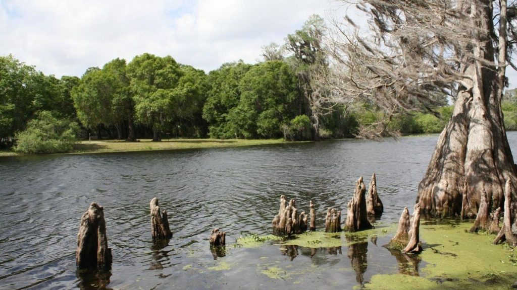 Lettuce Lake Park