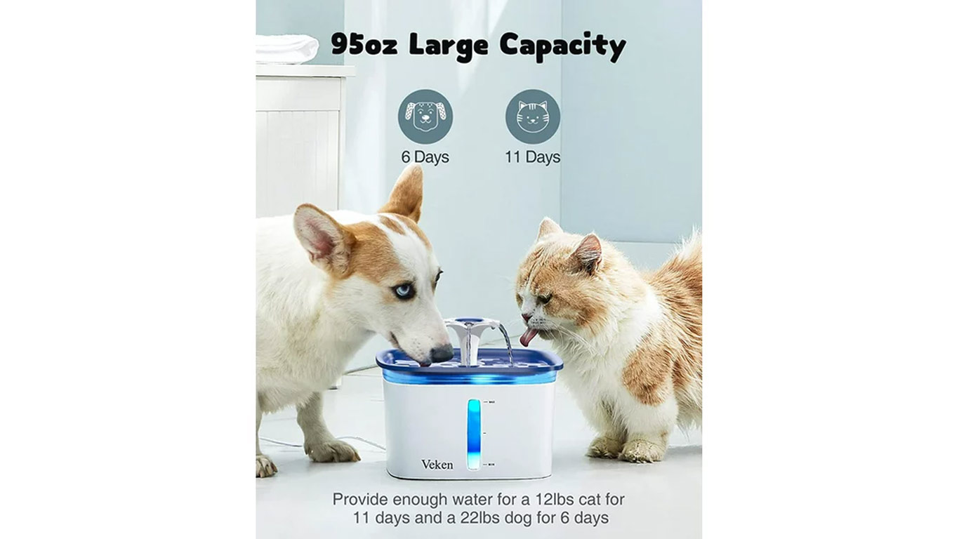 Cat Dog Water Fountain Dispenser
