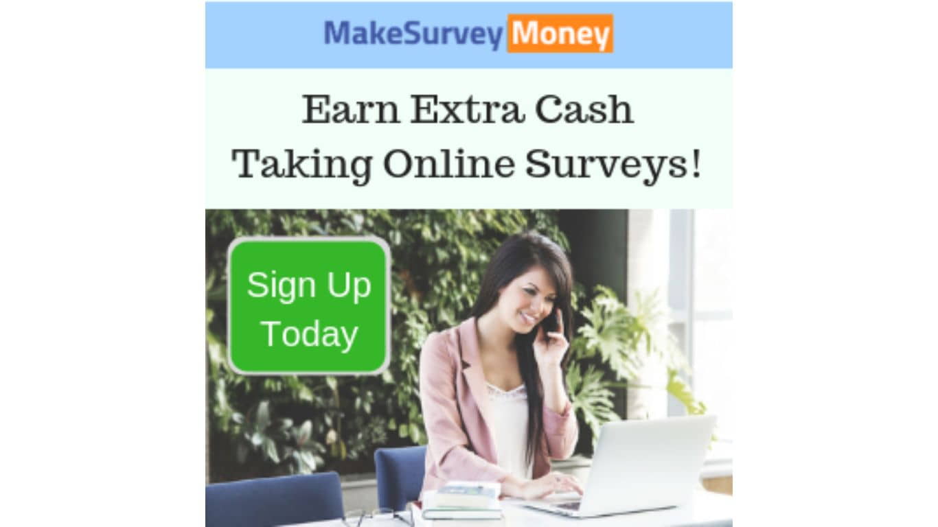 Make Survey Money