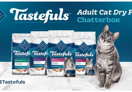 cat-dry-food