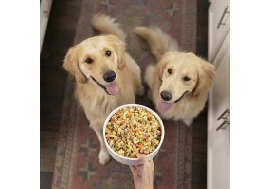 frozen-dog-food