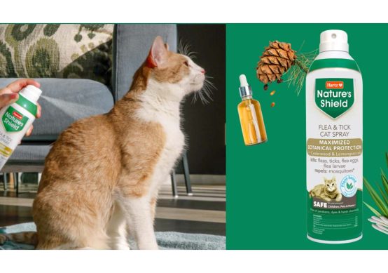 natures-shield-cat-spray