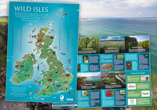 wild-isles-poster