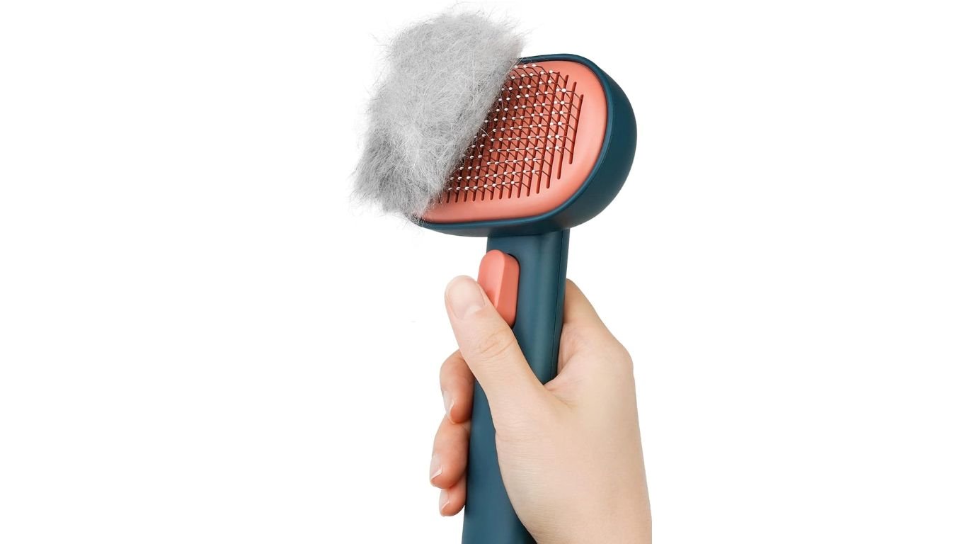 Cat Brush Cat Brush