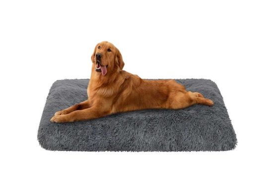 Costco Dog Bed