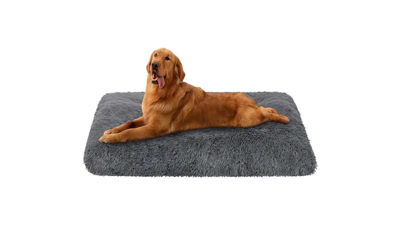 Costco Dog Bed