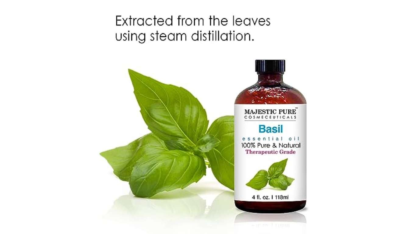Basil Essential Oil Basil Essential Oil