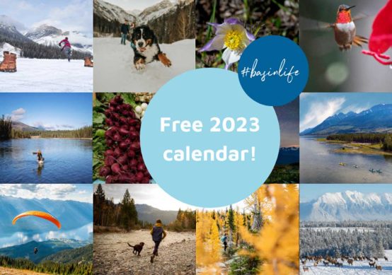 basinlife-wall-calendar