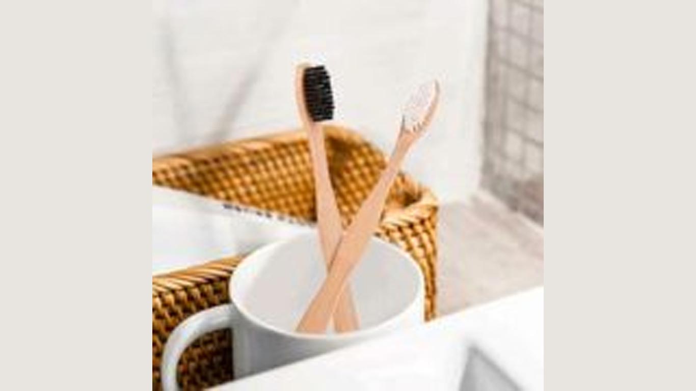 Free Toothbrush Free Toothbrush