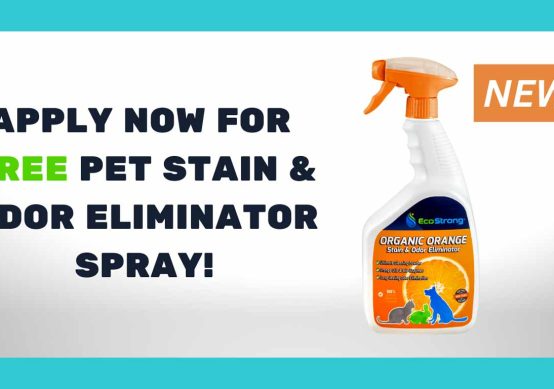 Orange Pet Stain & Odor Eliminator