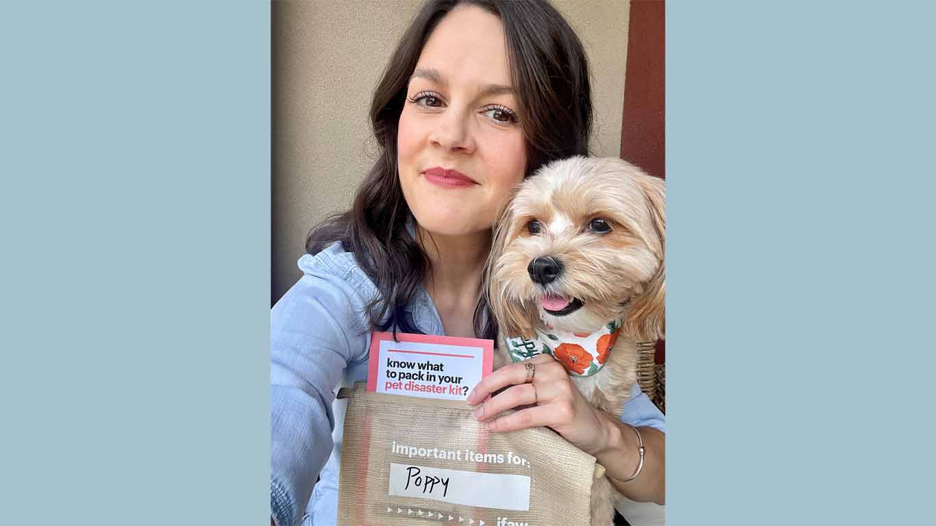 Pet Disaster Starter Kit Pet Disaster Starter Kit