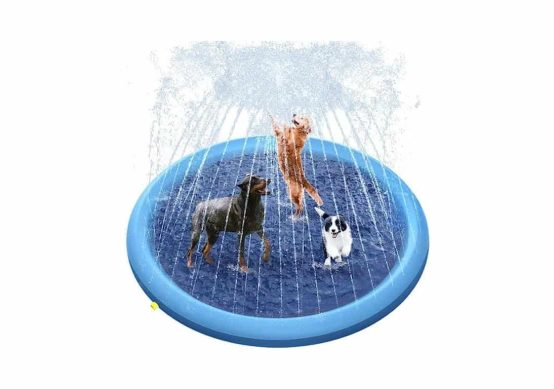 Dog Splash Pad