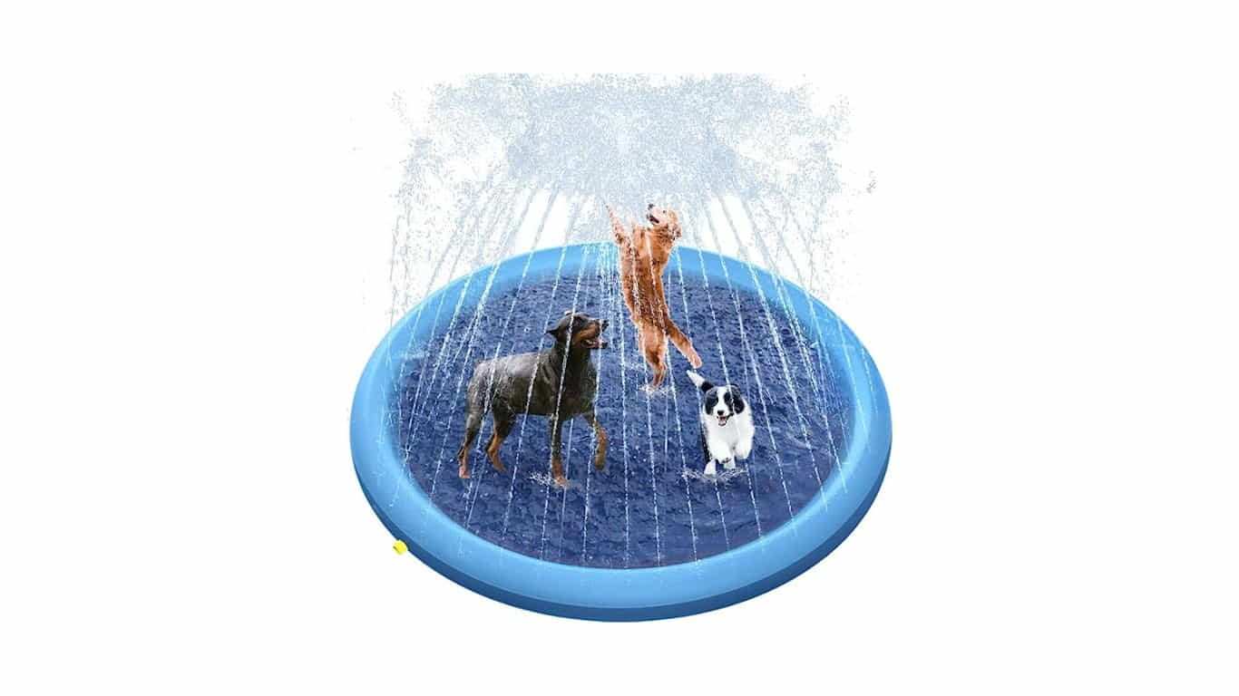 Dog Splash Pad