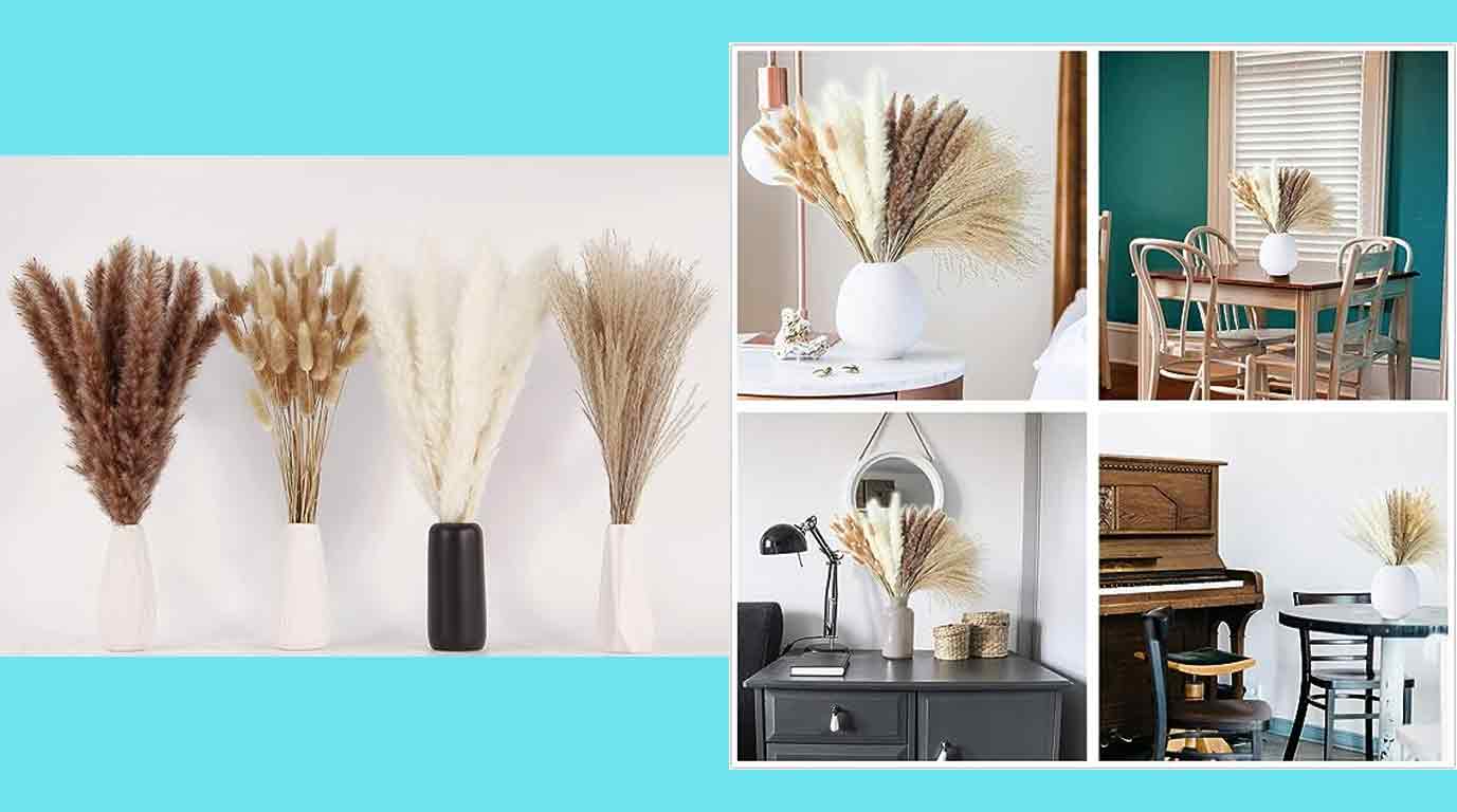 Dried Pampas Grass Decor Dried Pampas Grass Decor