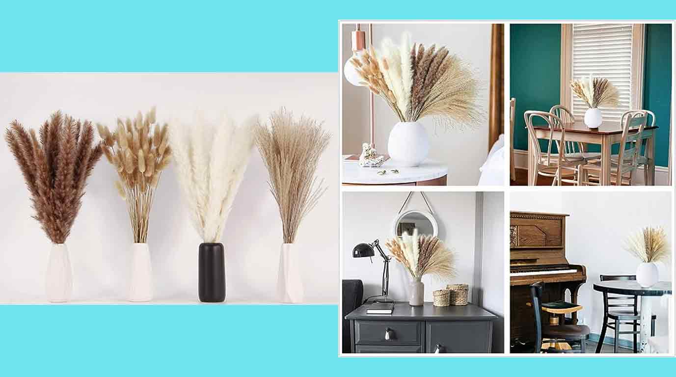 Dried Pampas Grass Decor