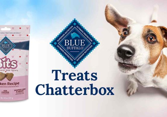 Treats Chatterbox Kit