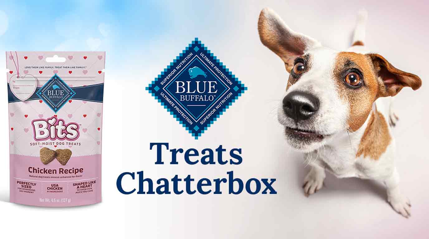 Treats Chatterbox Kit