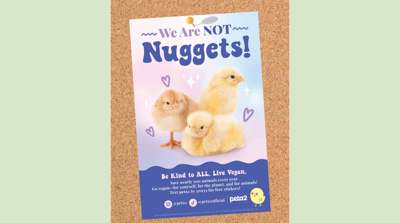 We Are Not Nuggets