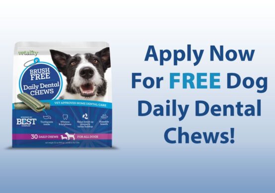 Dental Chews for Dogs