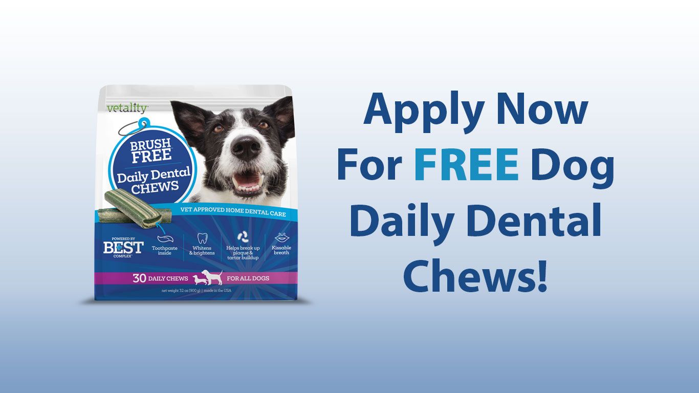 Free Dog Daily Dental Chews Dental Chews for Dogs
