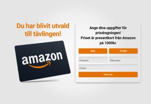 Amazon Gift Card SEK 1000